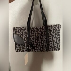 Dior Trotter Saddle monogram bag (rare)